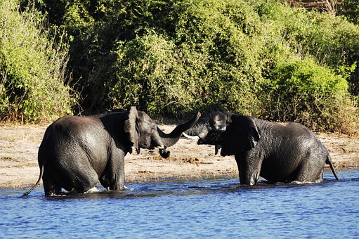 Help Charities For Africa By Learning About Watercan