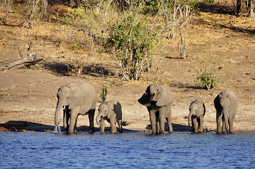 Promising African Countries To Invest In