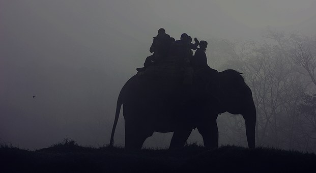 Luxury Adventure Safari Experience