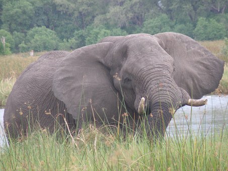 Fun Facts About Some of Africa's Natural Wonders