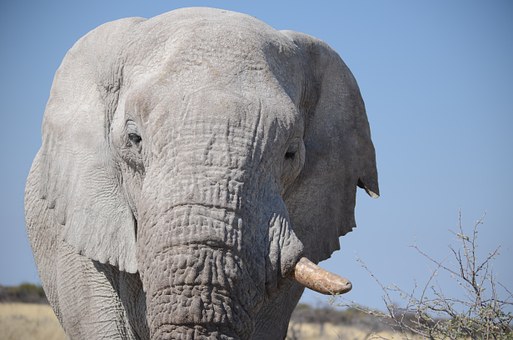 Places To See In South Africa