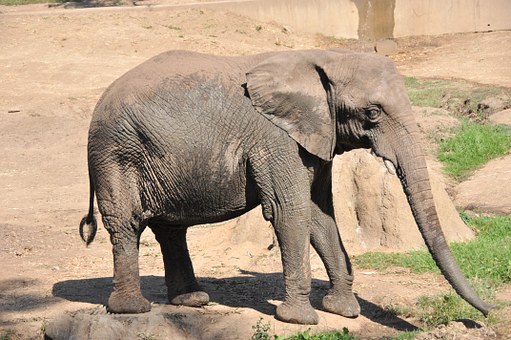 An Ultimate Trip Guide To Kenya