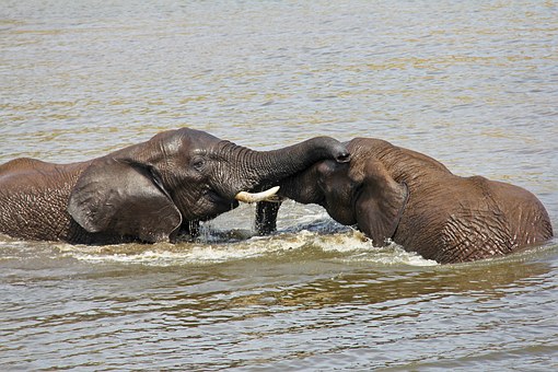 Places to Visit in South Africa