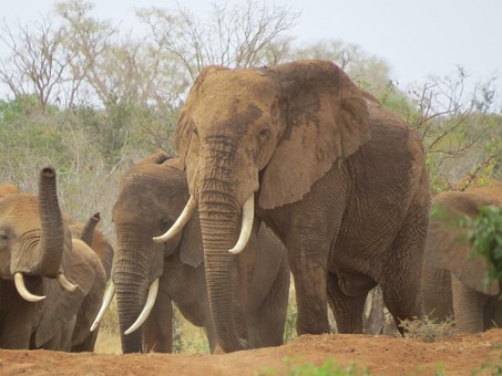 SUPER FIVE IDEAS FOR YOUR SOUTH AFRICA LUXURY HOLIDAYS