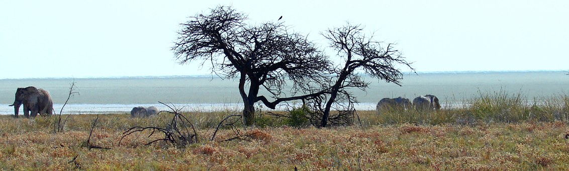 Top rated Guidelines For Fishing in South Africa