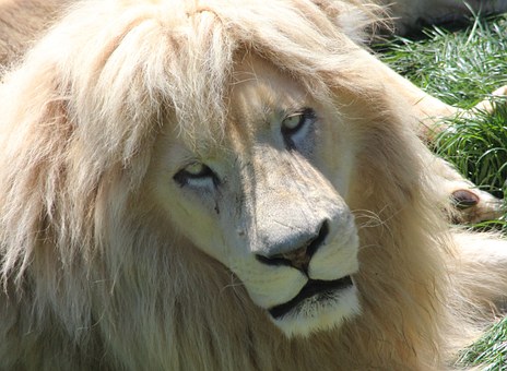 Learn About Barcelona Be Stunned By The Different Happenings Primeval Marvels Plus Relaxing Resorts