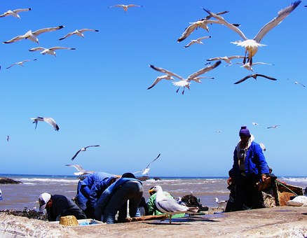 A quick tour of Morocco
