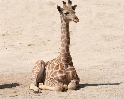 On A Budget? Travel To South Africa And Get Real Bang For Your Buck!