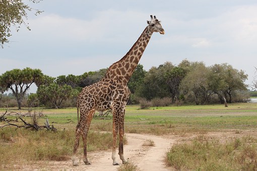 Larsens Tented Camp Samburu Kenya