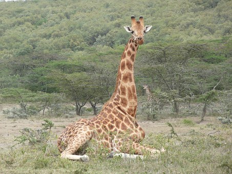 Italians Raping Our Children In Luxury Villas & Hotels In Malindi Kenya