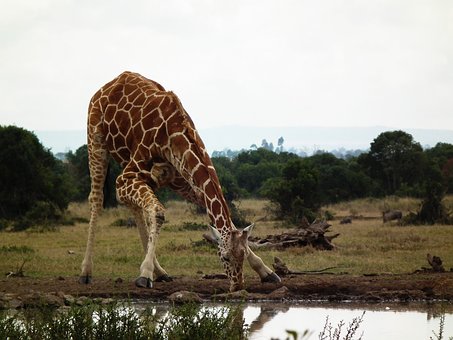 Wildlife & Nature Holiday