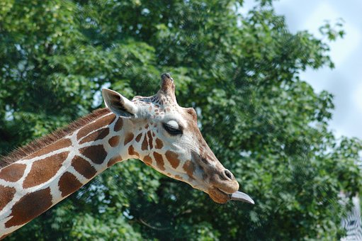 Great Summer Travel Destinations for Families