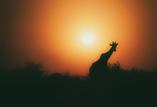 How Lanzarote Became the Island it is Today by:Dan Williams