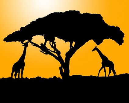 Discovering The Benefits Of African Shea Butter