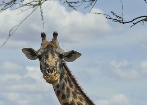 Travel Several Unforgettable And Best Summer Escapades Havens And Attractions Within Our Globe