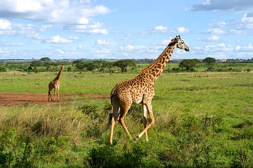 Tourism hotspots of 2010