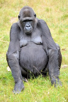 Kenya Beach Holiday Vacation Information