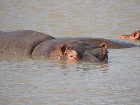 Fantastic Saving On Flights To Accra-new-year 2010 Flights To Accra, Ghana