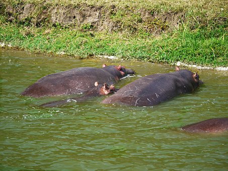 Samburu Tented Camp Shaba Lodge Safari