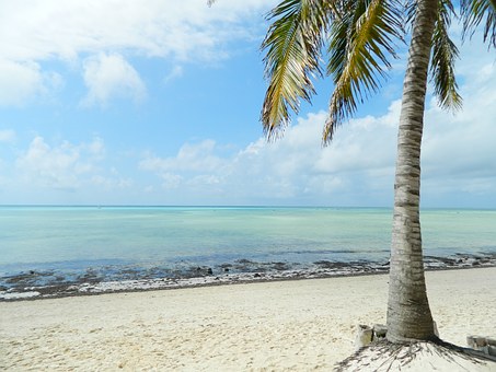Experts Guidelines Helping You With Major Discounts Along With Excursion Trips On Embarking Baltimor