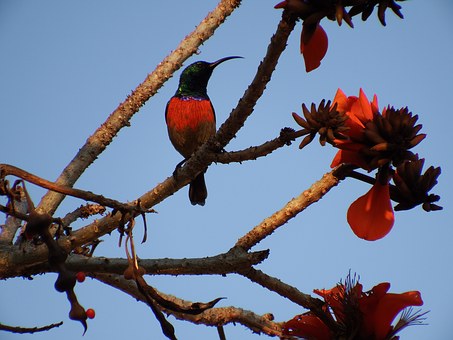 Explore Some Finest And First Rate Travels Harbours And Significant Sights Around Our Globe