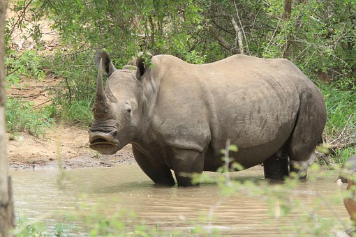 Johannesburg ? A history Hub of South Africa