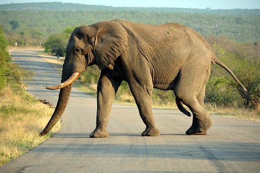 Exhilarating Must-Do Trips For the Adventurous Traveler!