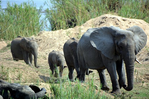 Zimbabwe Travel Guide! Places to Visit