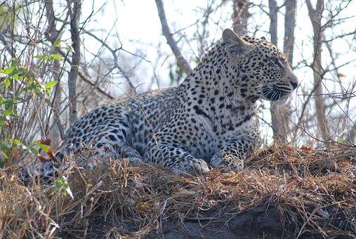 Places To See In South Africa