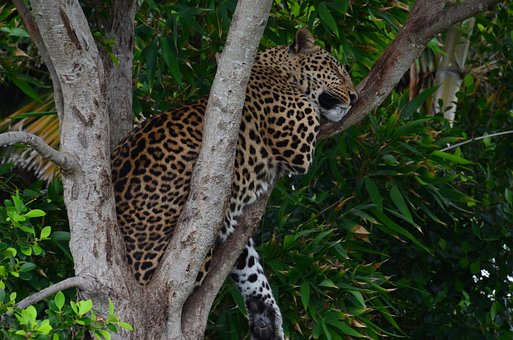 An Ultimate Trip Guide To Kenya
