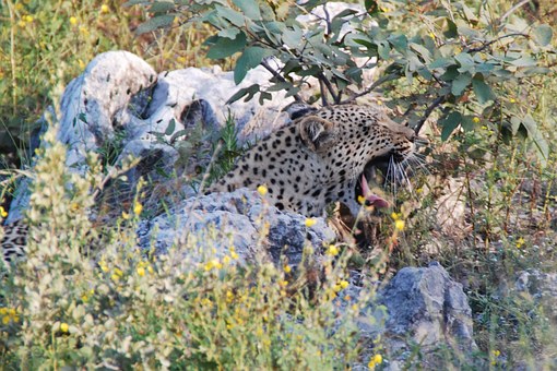 Places to Visit in South Africa