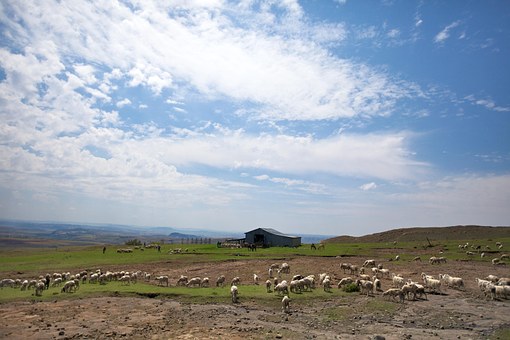 Accommodation While Touring In Western Cape, South Africa