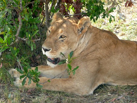 Tourist Attractions In Enchanting Nigeria