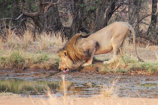Globus Tours and Globus Vacations by:Jennifer Bailey