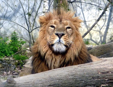 Amazing Travel Pointers Around Oceana Places To Hang, Must-see's And Fares To Spend On Your Holiday
