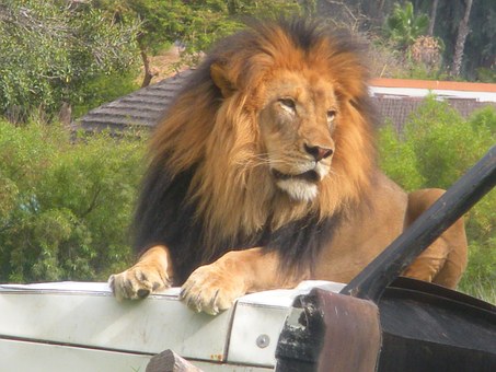 Incredible Travel Ideas About Oceana Deals, Ships And Travel Ideas To Savour On Your Holiday