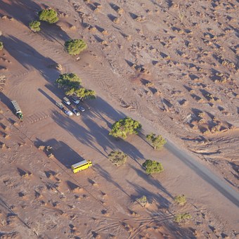 Walk On The Wild Side In Africa