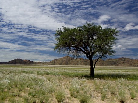 South Africa - Host Of The 2010 Soccer World Cup