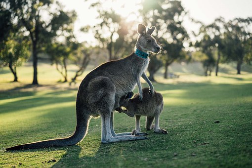 A Second Look At Hikvision Australia's Hot Products