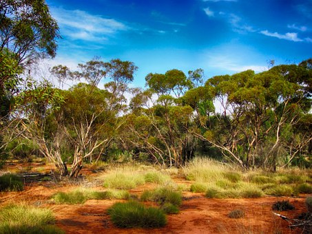 Car Hire Coolangatta For A Convenient Holiday