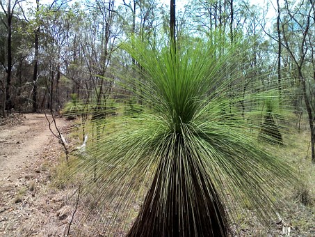 Why I want to live in Country Australia