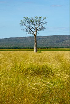 Australia: How to realize your dream?