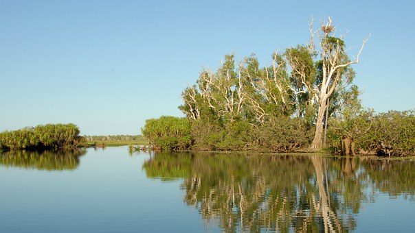 Ecological Diversity Of The Australian