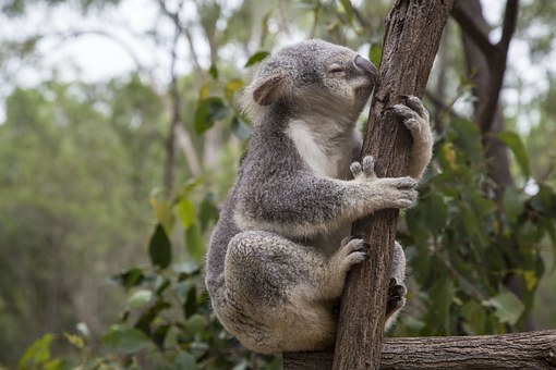 The Land Down Under Australia