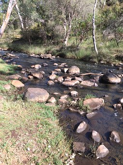 Discovering All The Facts On The Sunshine Coast