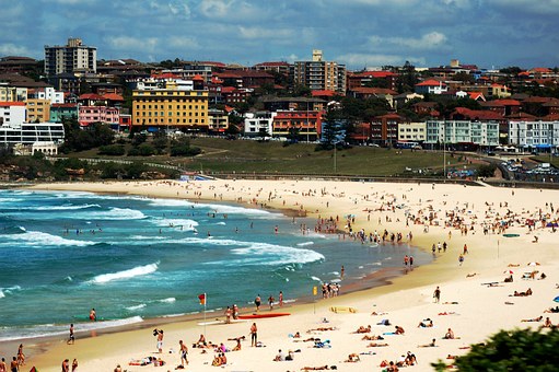 Standards For Australias Live Export Industry