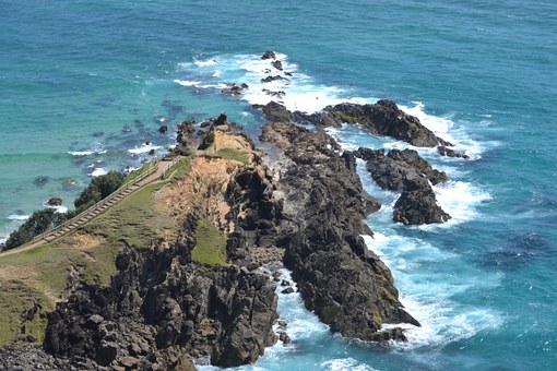 Coogee Beach & Paradise Island Activity Guide
