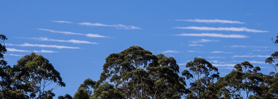 Want to know more on work visa & migrating to Australia?