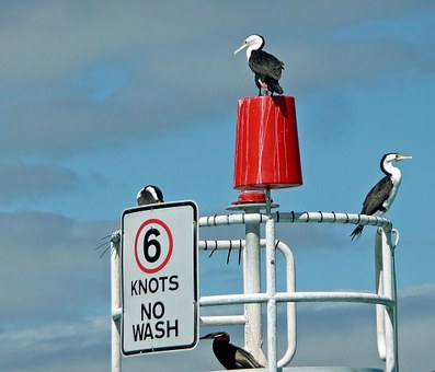 Lonely in Australia on Valentine's Day? 3 Top Places to Meet Singles