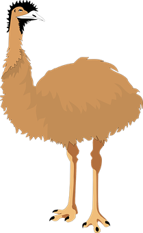 Australia Ugg Boots
